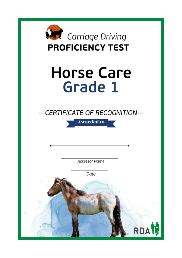 NEW Carriage Driving Horse Care Proficiency Test Certificates