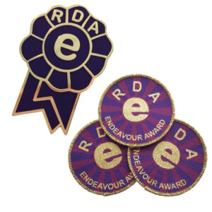 Endeavour Award Pins & Patches